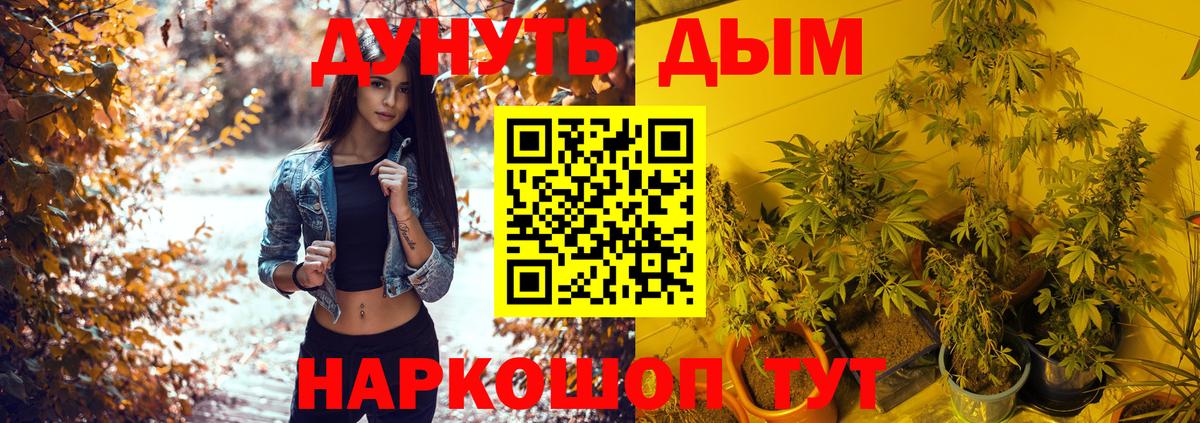 Сухой Лог  Шишки марихуана конопля  Каннабис план  Каннабис MAZAR  Вход с VPN  Марихуана LSD WEED 